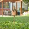 Set of 2 53.00''H Farmhouse Faux Copper Distressed Metal Church Outdoor Decorative Garden Birdhouse with Stake